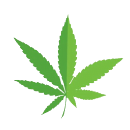 Hybrid THC Vapes